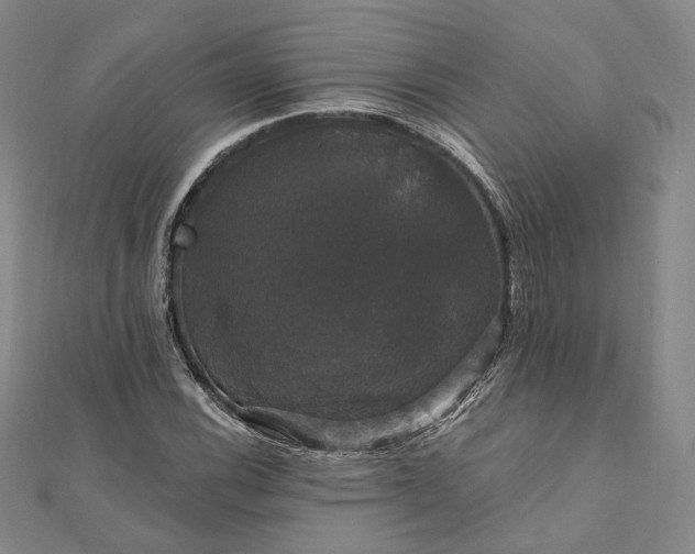X0000111911116200908031132