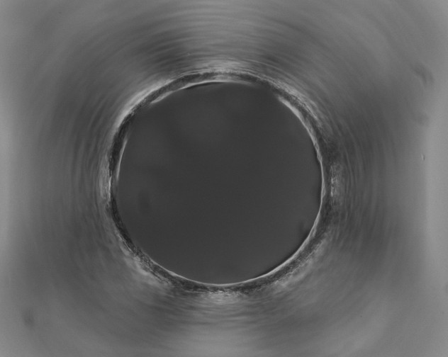 X0000111911117200908031132