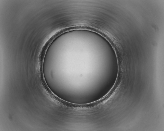 X0000111911118200908031132