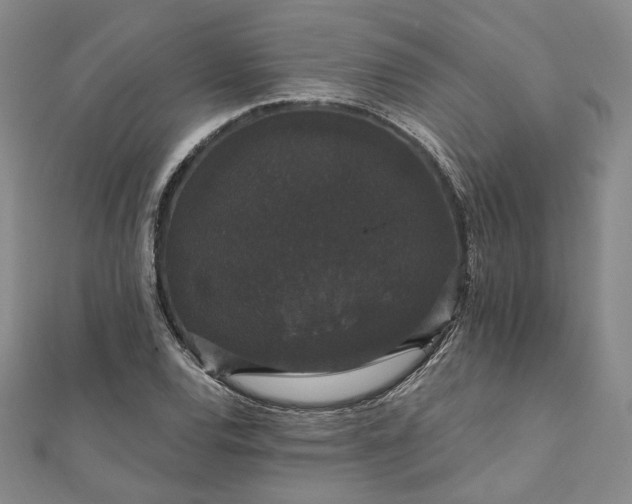 X0000111911120200908031132