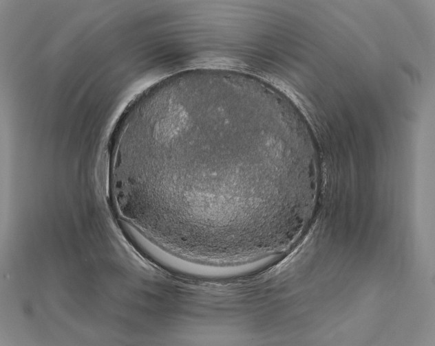 X0000111911123200908031132