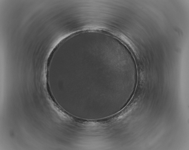 X0000111911124200908031132
