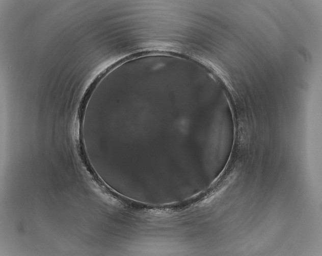X0000111911125200908031132
