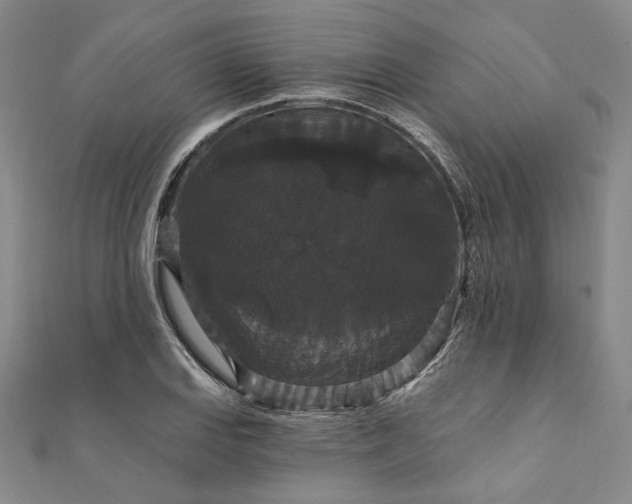 X0000111911127200908031132