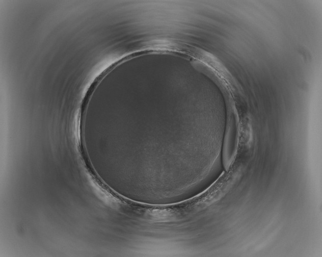X0000111911128200908031132
