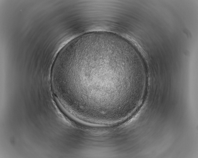 X0000111911129200908031132