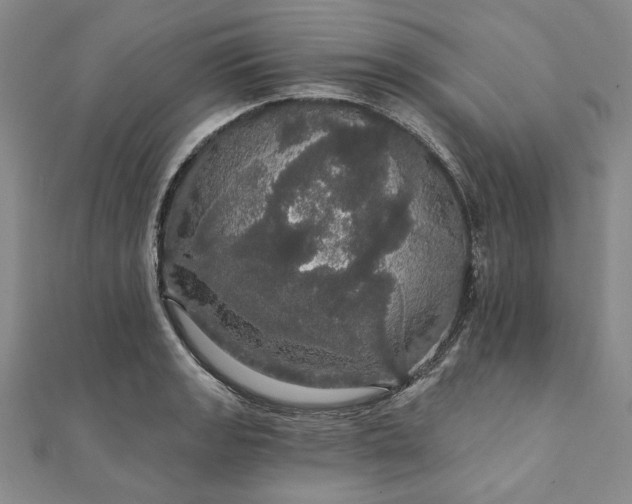 X0000111911133200908031132