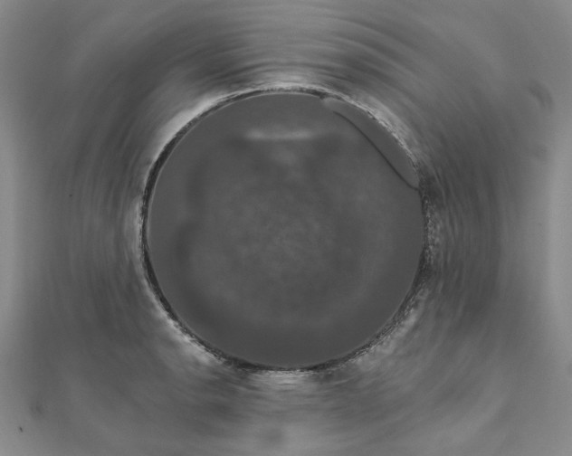X0000111911134200908031132