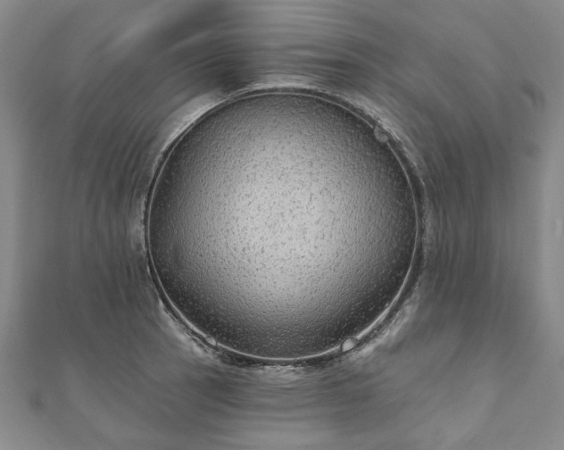 X0000111911137200908031132