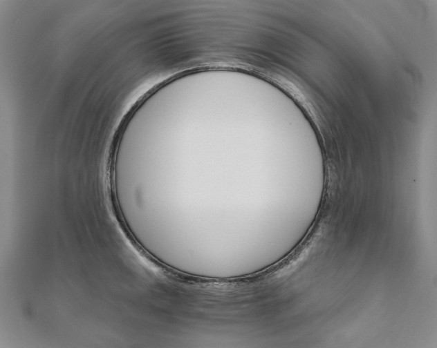 X0000111911141200908031132