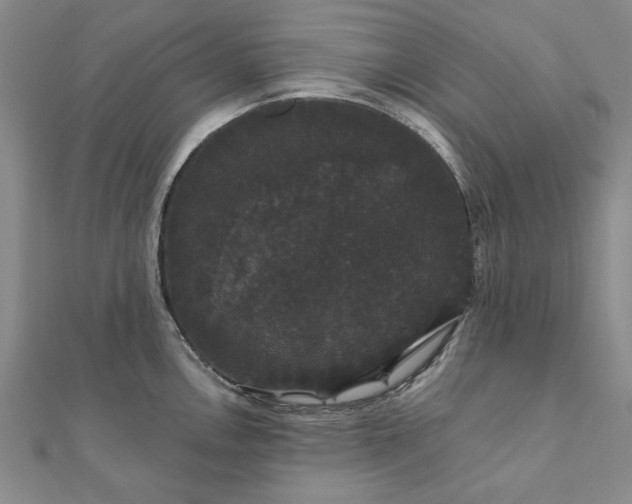 X0000111911146200908031132