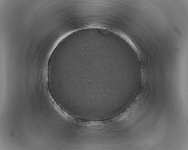 X0000111911148200908031132