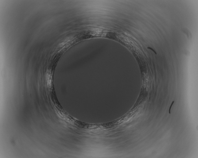 X0000111911154200908031132