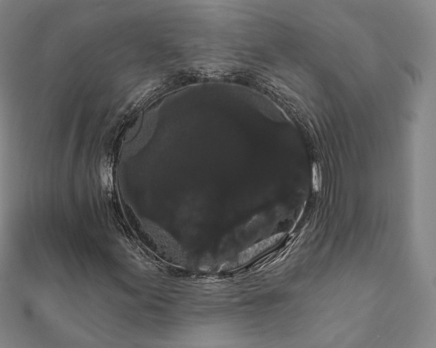 X0000111911155200908031132