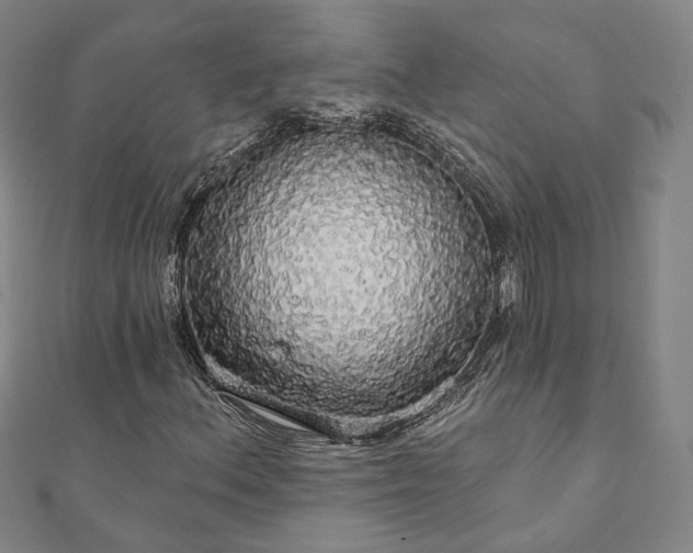 X0000111911156200908031132