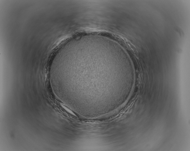 X0000111911157200908031132
