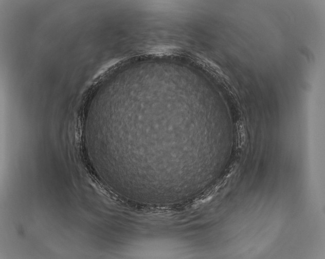 X0000111911158200908031132