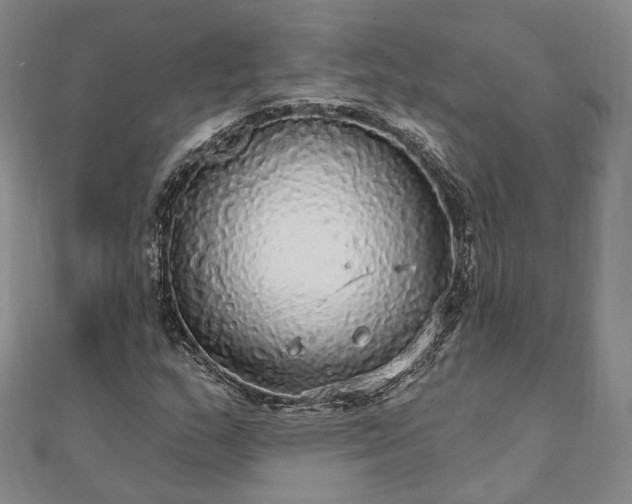 X0000111911159200908031132