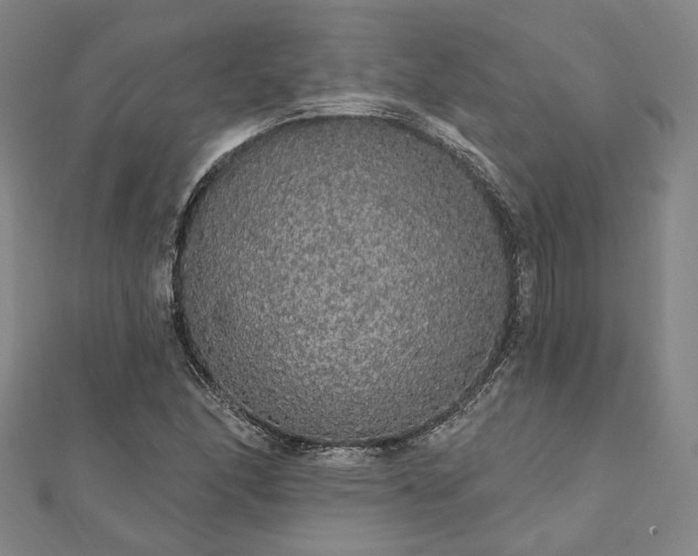 X0000111911166200908031132