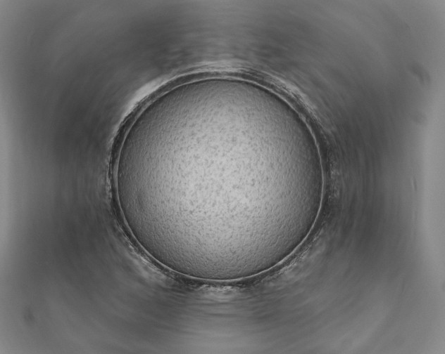 X0000111911168200908031132