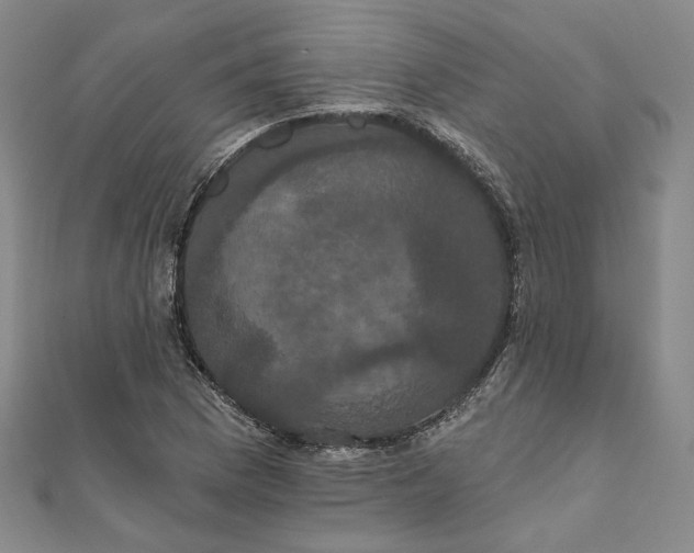 X0000111911169200908031132
