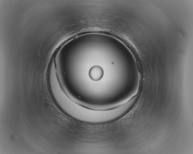 X0000111911173200908031132