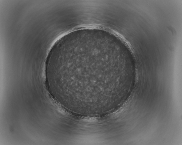 X0000111911174200908031132