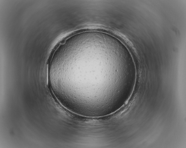 X0000111911175200908031132