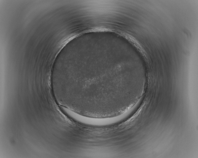 X0000111911177200908031131
