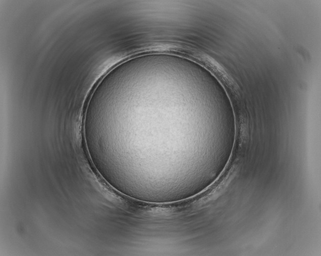 X0000111911178200908031131
