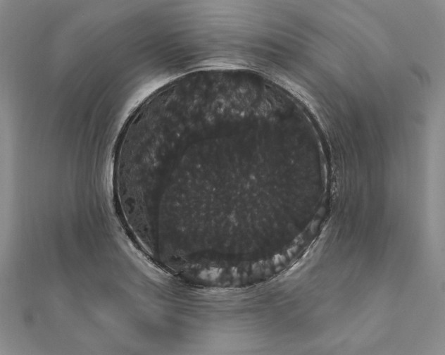 X0000111911179200908031131