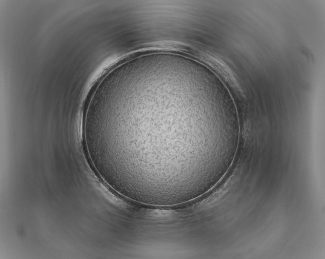 X0000111911180200908031131