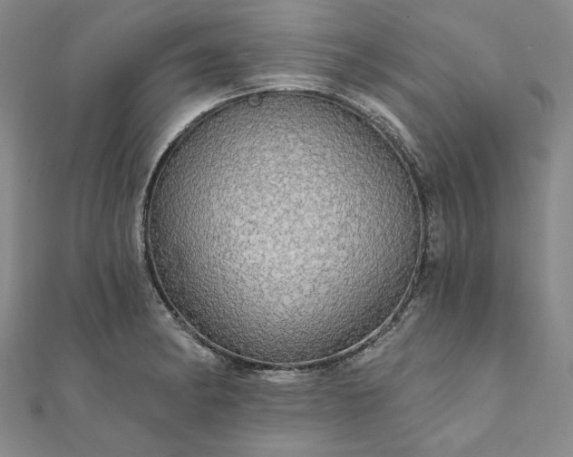 X0000111911182200908031131