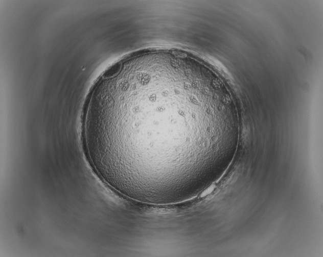 X0000111911183200908031131
