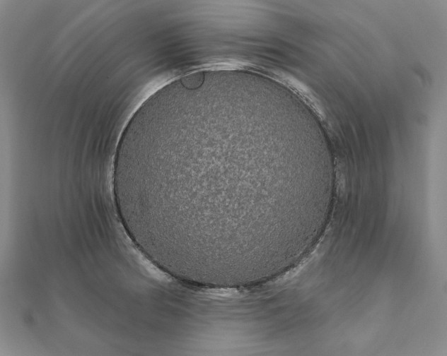 X0000111911186200908031131