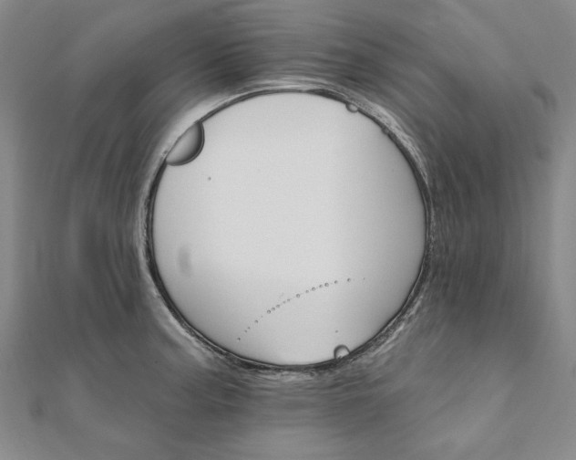 X0000111911187200908031131