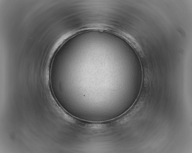 X0000111911188200908031131