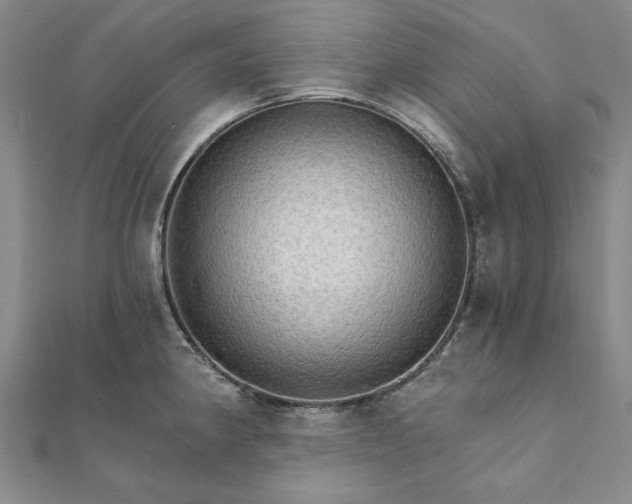 X0000111911190200908031131