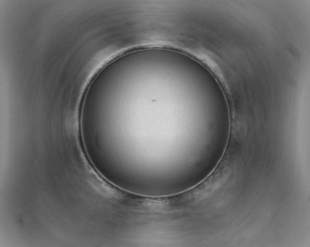 X0000111911191200908031131