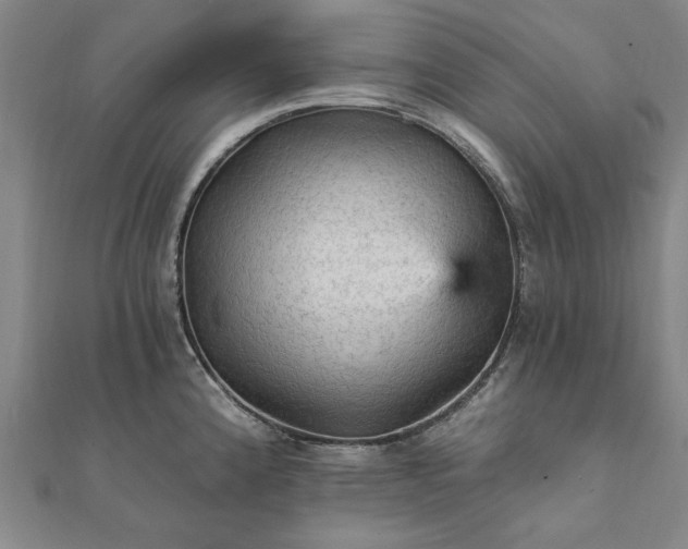 X0000111911192200908031131