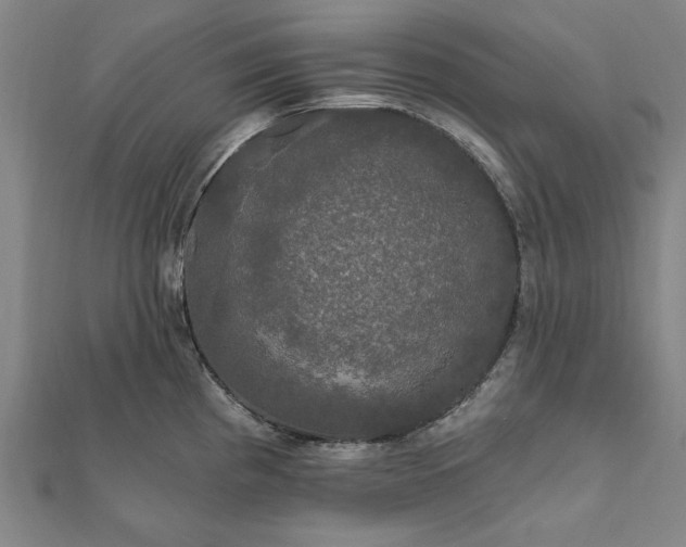 X0000111911193200908031131