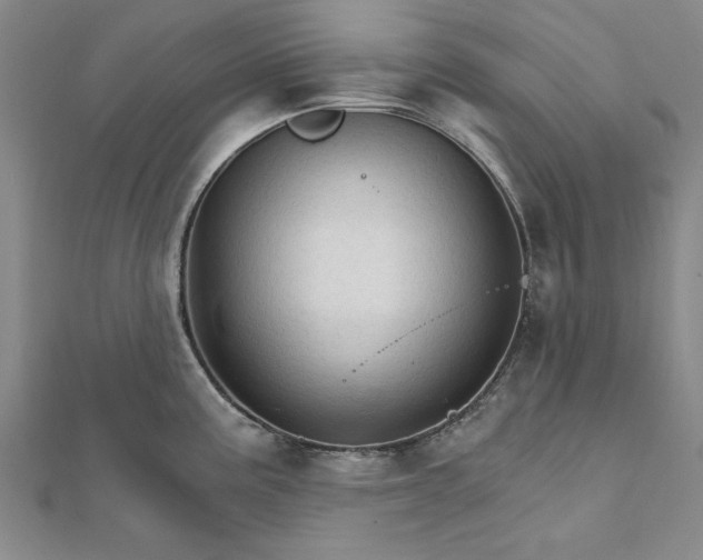 X0000111911195200908031131