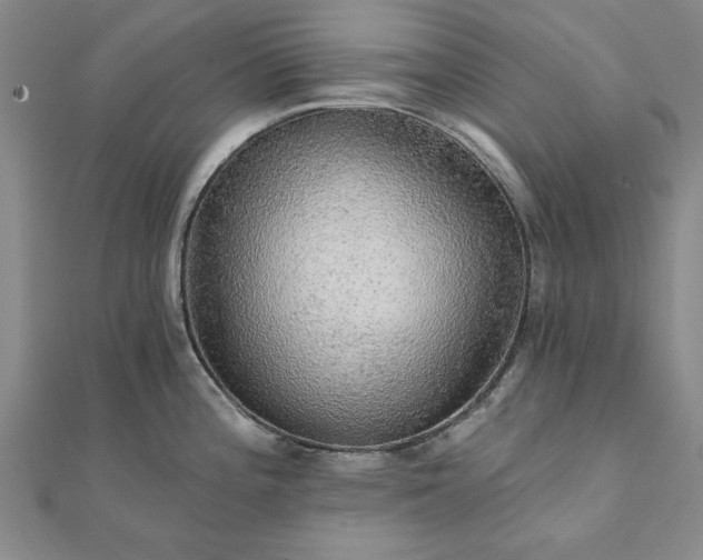 X0000111911196200908031131