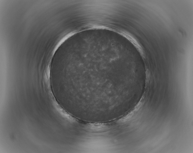 X0000111911198200908031131