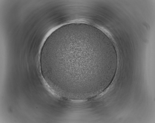 X0000111911200200908031131
