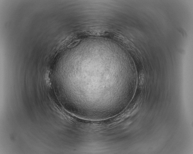 X0000111911202200908031131