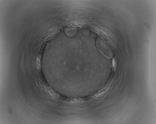 X0000111911203200908031131