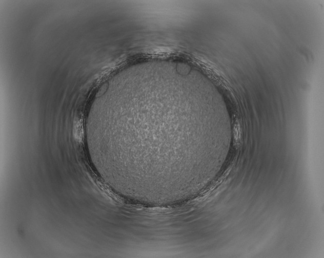 X0000111911204200908031131