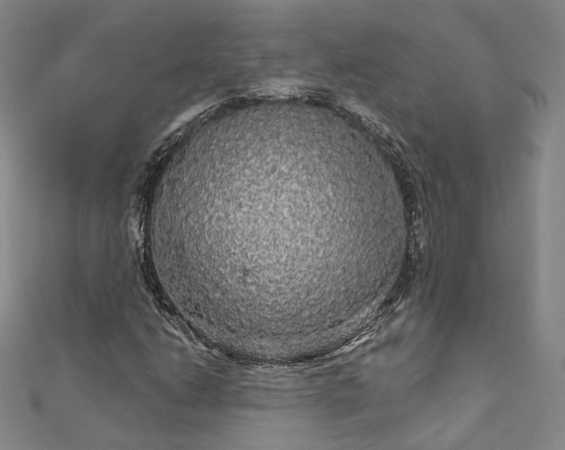 X0000111911206200908031131