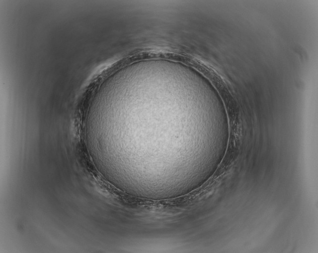 X0000111911207200908031131